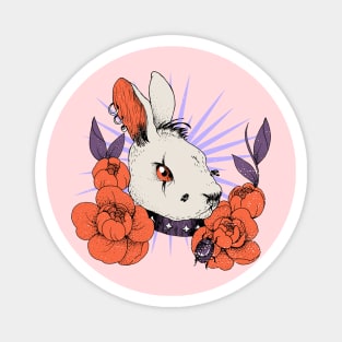 Vintage Retro Rabbit Magnet